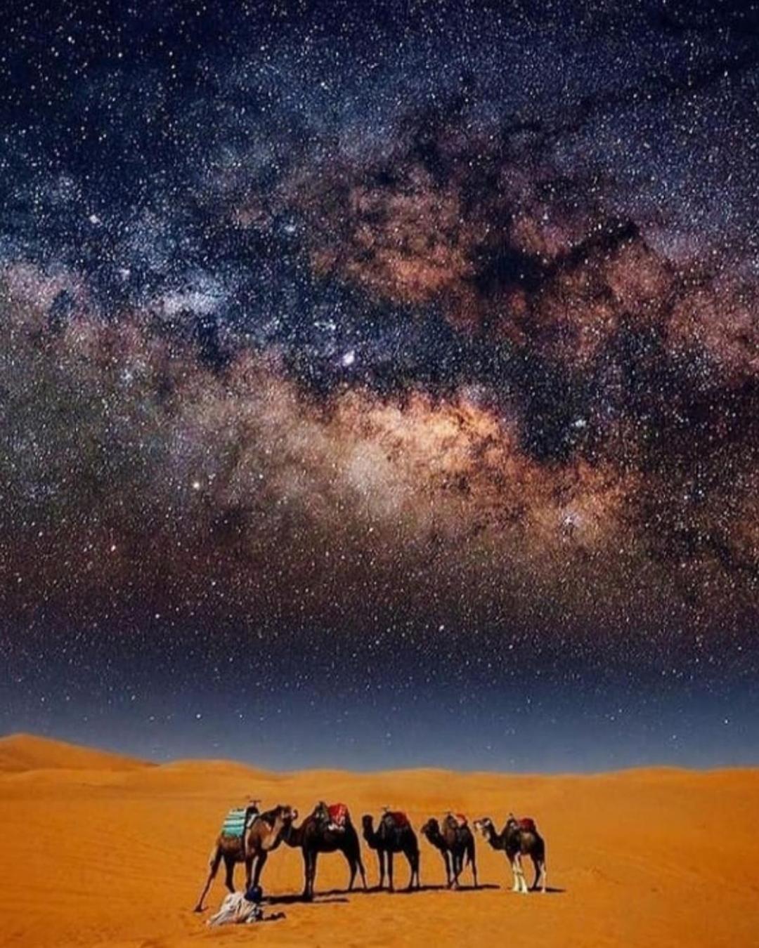 Overnight Desert Camp 5* Merzouga
